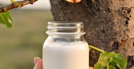 633261646 122208797348567604 4853014357433241687 n