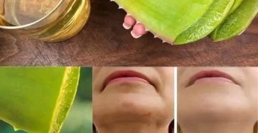 633898270 122208581102567604 6506193613050144373 n