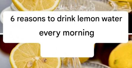 633919587 122208858062567604 3045252993033392606 n