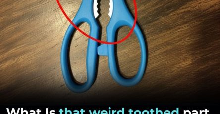 634001008 122208831602567604 3734505591301415352 n