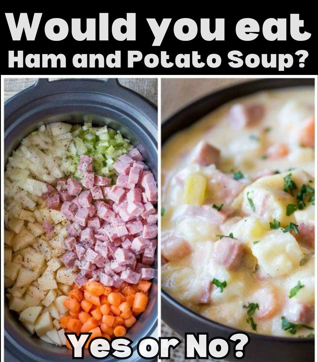 634046118 122208898064567604 8261968509661507513 n