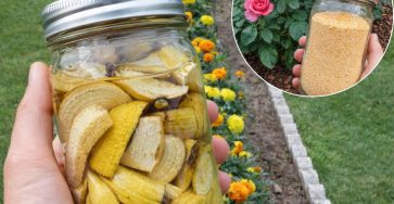 634082143 122208789152567604 8949406751487771939 n