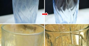 637784206 122208906698567604 1564673025162012202 n