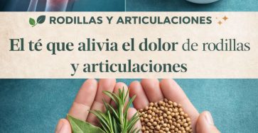 4e6fb99e 857e 49d8 bdd2 65783a0eac2e