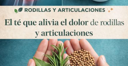 4e6fb99e 857e 49d8 bdd2 65783a0eac2e