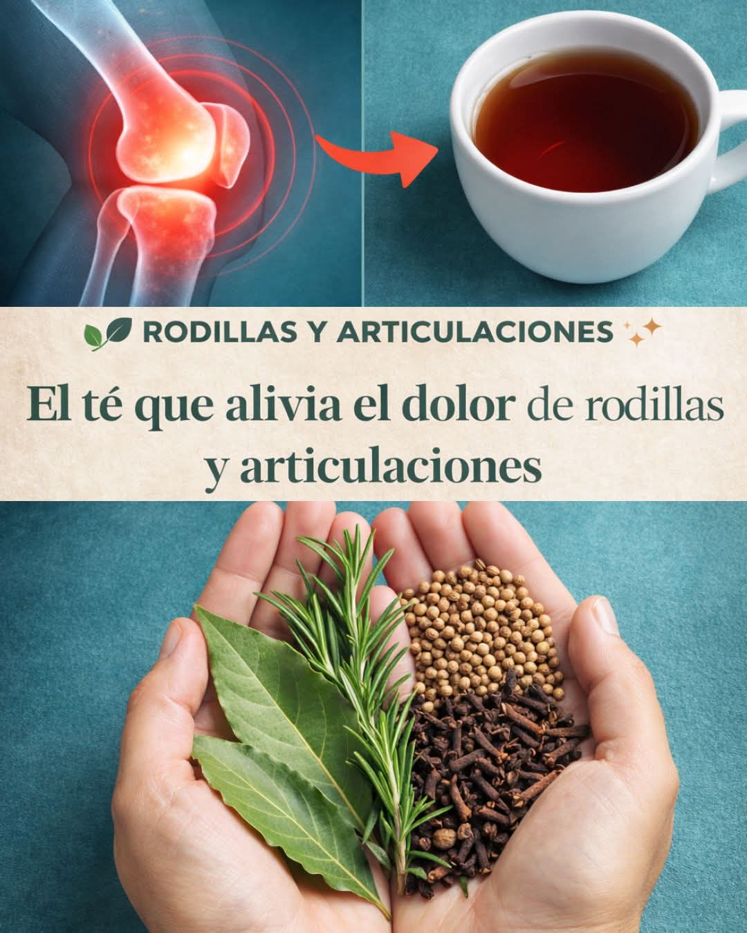 4e6fb99e 857e 49d8 bdd2 65783a0eac2e