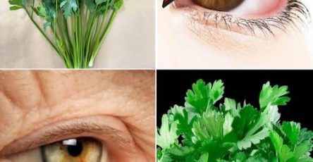 552753357 792934513742539 6093137670776203443 n