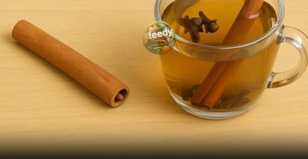 555891839 829311626187373 6066016361659096287 n