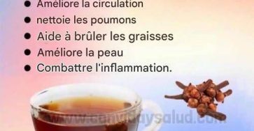 558115375 3769105423388658 6428318359138886918 n