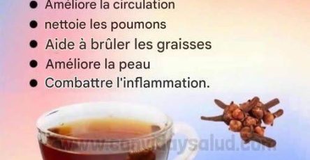 558115375 3769105423388658 6428318359138886918 n