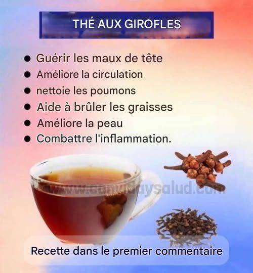 558115375 3769105423388658 6428318359138886918 n