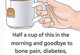 573592553 25011180785181481 4736536232303329903 n