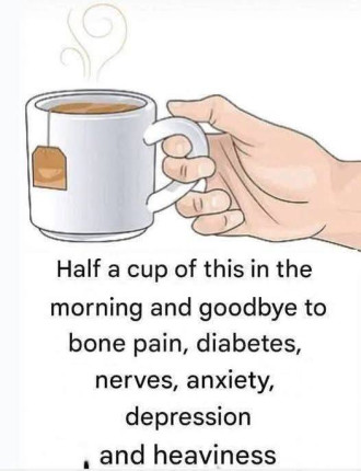 573592553 25011180785181481 4736536232303329903 n