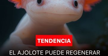 580186930 817192554430743 2566875548032842532 n