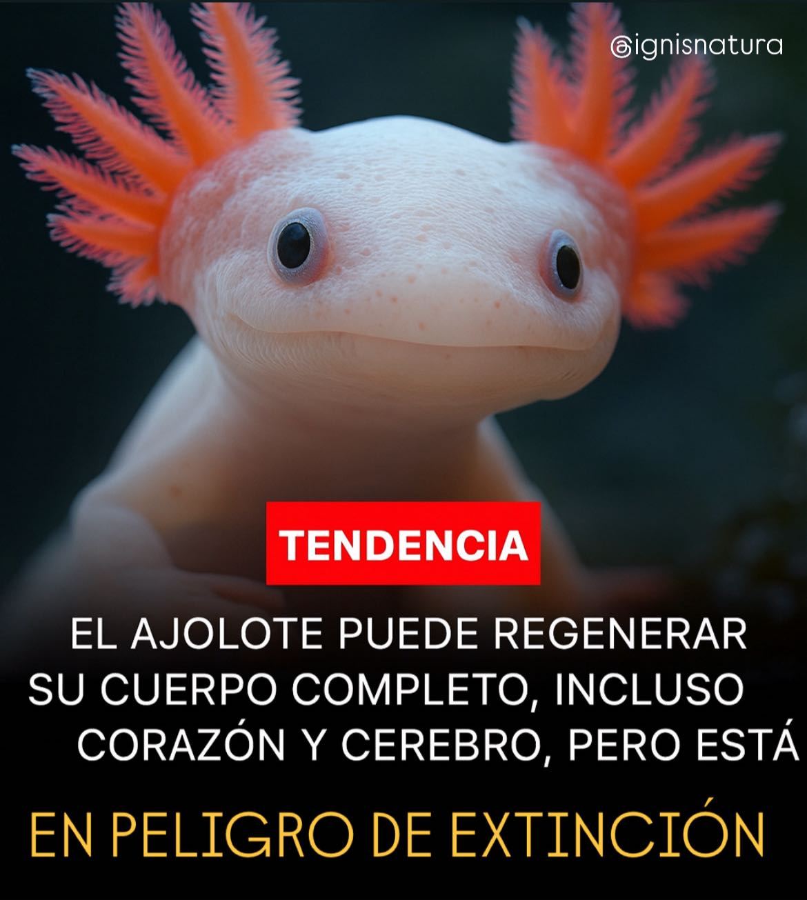 580186930 817192554430743 2566875548032842532 n