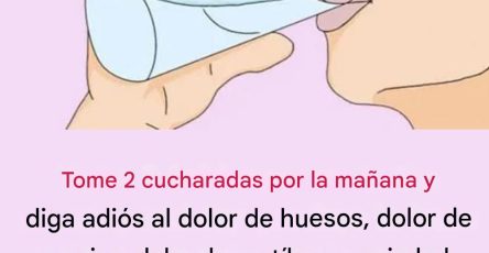 586257885 2248615145644258 7013239687724558822 n