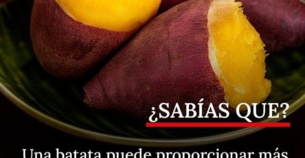 591753211 822485657421009 1334914610661399299 n