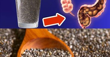 597387694 838167592333239 3817160322852807186 n