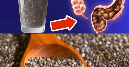 597387694 838167592333239 3817160322852807186 n