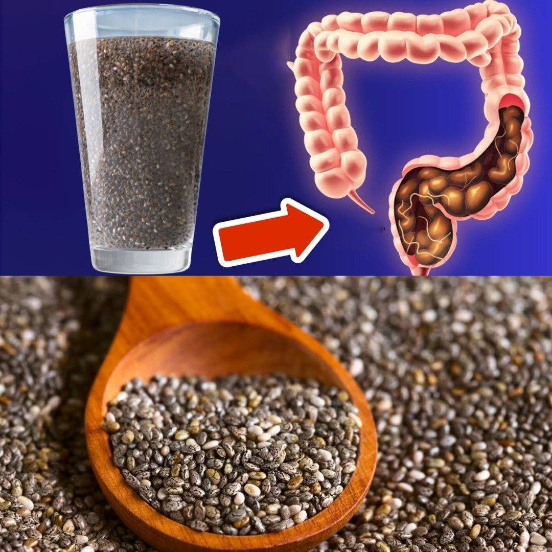 597387694 838167592333239 3817160322852807186 n