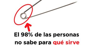 606414896 1434573178251747 7842281362986862116 n