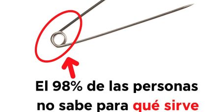 606414896 1434573178251747 7842281362986862116 n