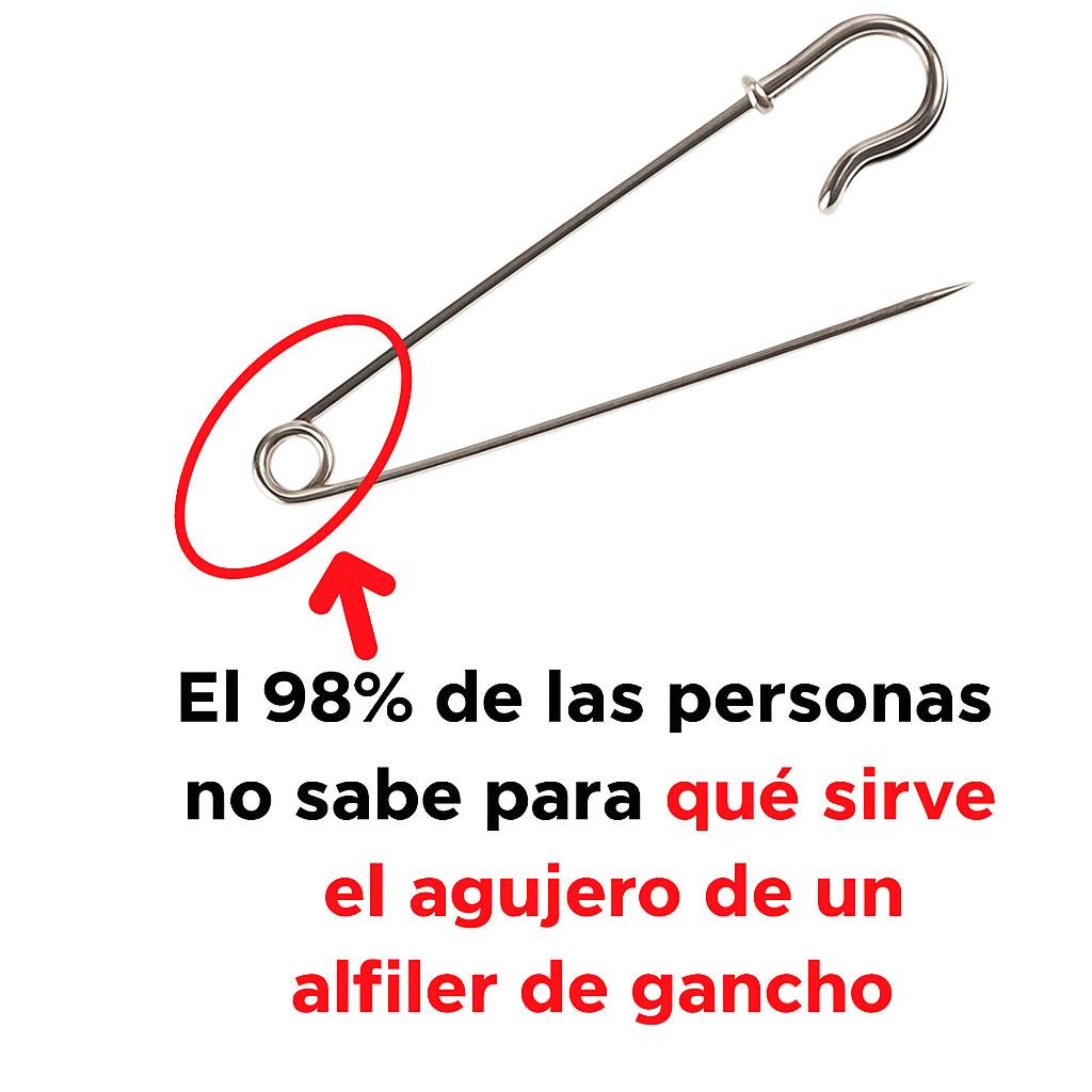 606414896 1434573178251747 7842281362986862116 n