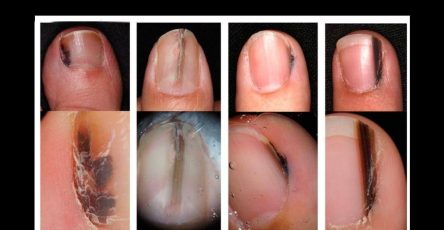 607661131 1309736931190530 6483755694320947030 n