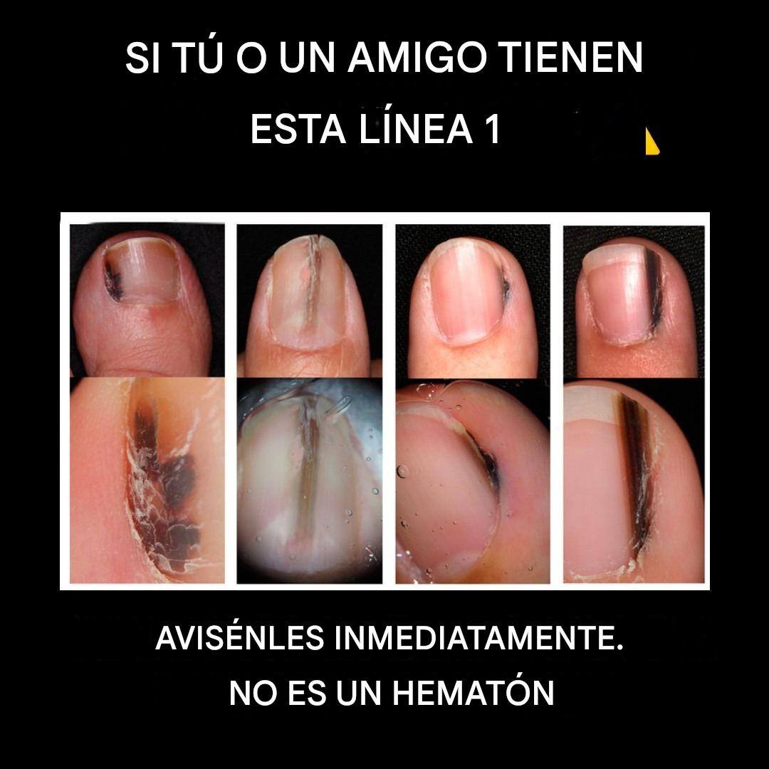 607661131 1309736931190530 6483755694320947030 n