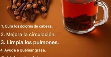 608517730 841496175387216 1915985556251841783 n