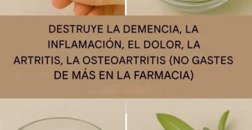 608534863 122228193740150219 6538592498438842409 n