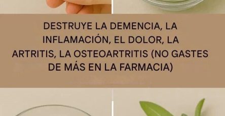 608534863 122228193740150219 6538592498438842409 n