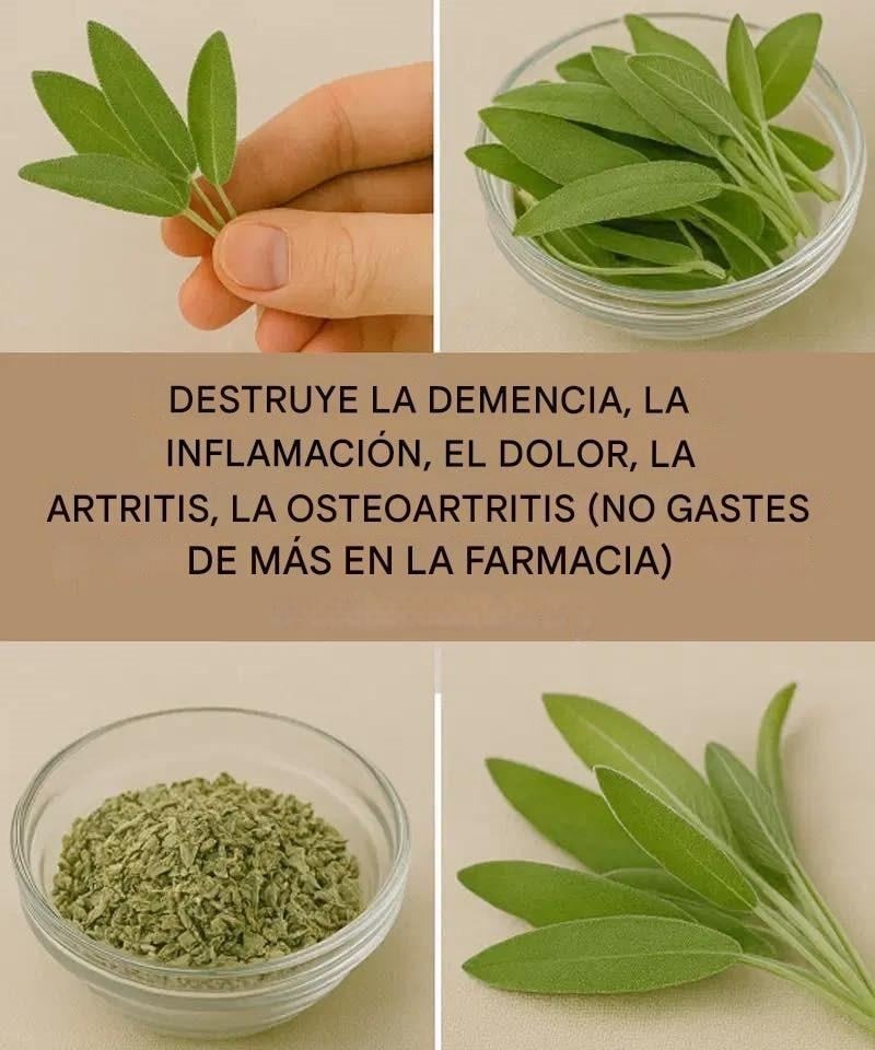 608534863 122228193740150219 6538592498438842409 n