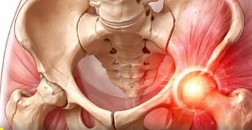 611223280 843945071808993 1324183388632119816 n