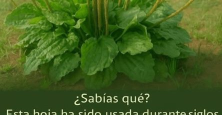 615232989 860481800124654 9084022953498352064 n