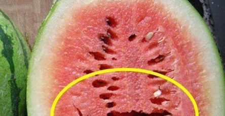 626780213 1619520099054375 6976218411760259290 n