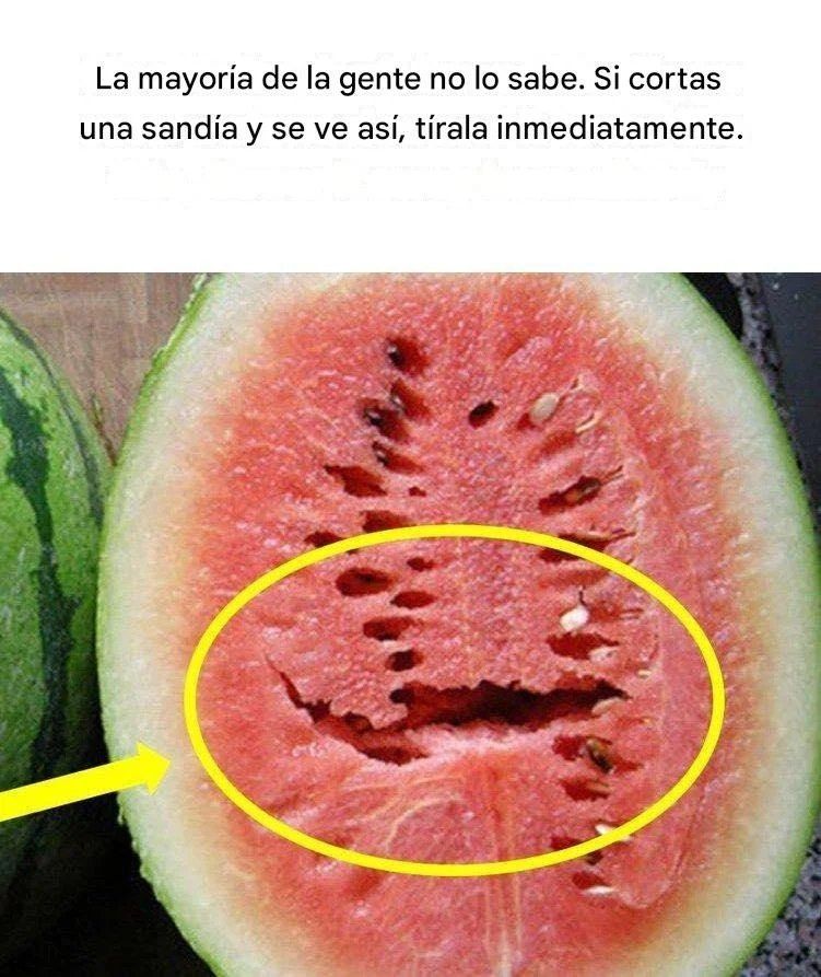 626780213 1619520099054375 6976218411760259290 n