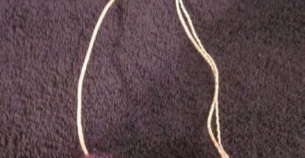 627351916 122272451192176596 2257113224656142643 n