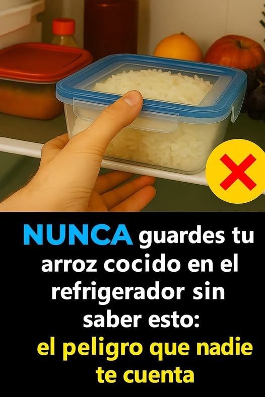 629945327 1446116960489717 5497511182866884376 n