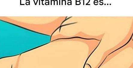 630968526 122097509091258484 3497593820032789160 n