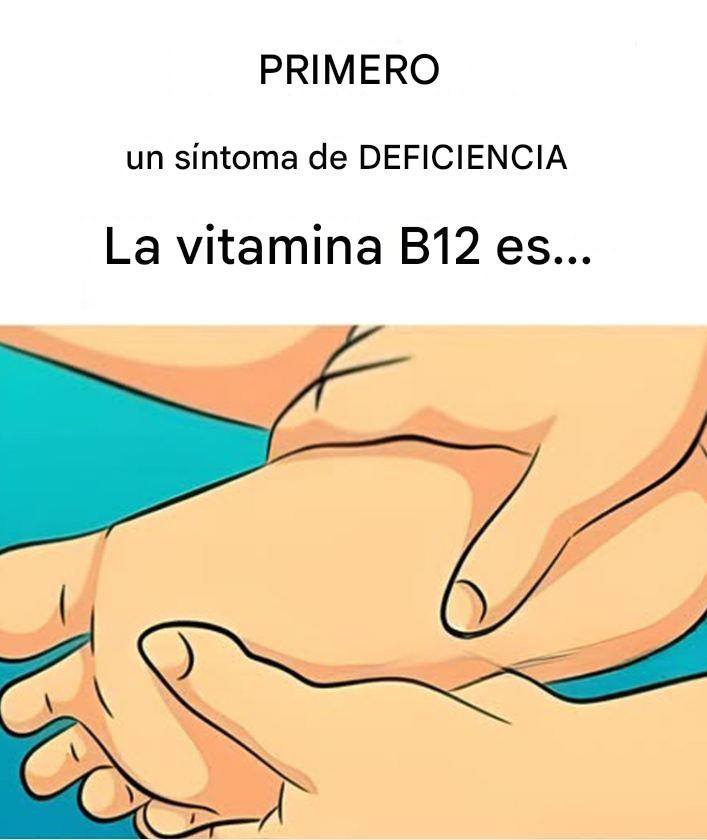 630968526 122097509091258484 3497593820032789160 n