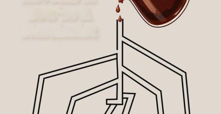 633143112 932820632759866 4456245508139385648 n