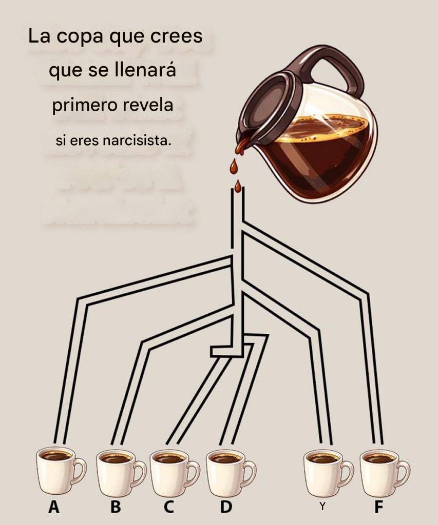 633143112 932820632759866 4456245508139385648 n