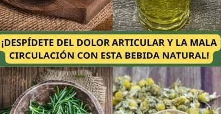 633651540 914576001032642 8459807831124105100 n