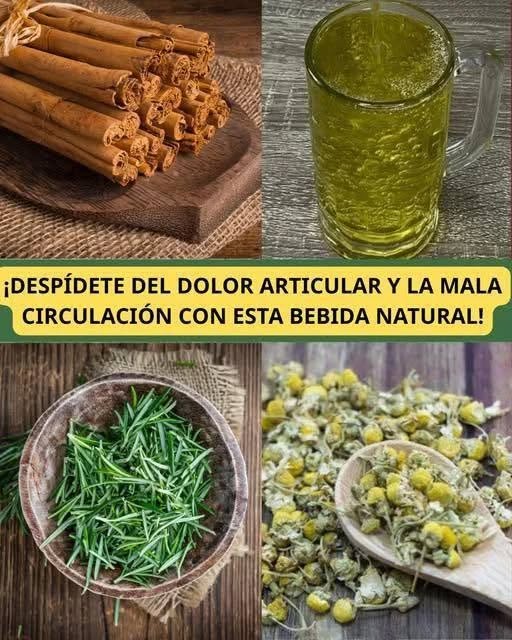 633651540 914576001032642 8459807831124105100 n