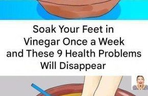 633927446 122208723458567604 4471617242488060794 n