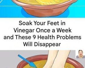 633927446 122208723458567604 4471617242488060794 n