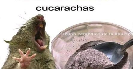 635008132 885159534285861 7095597596420466977 n