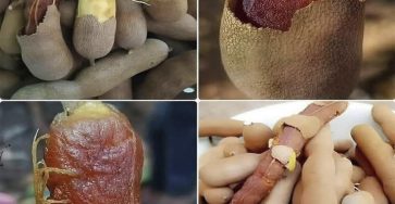 635010800 917055567483972 2266436767136681002 n