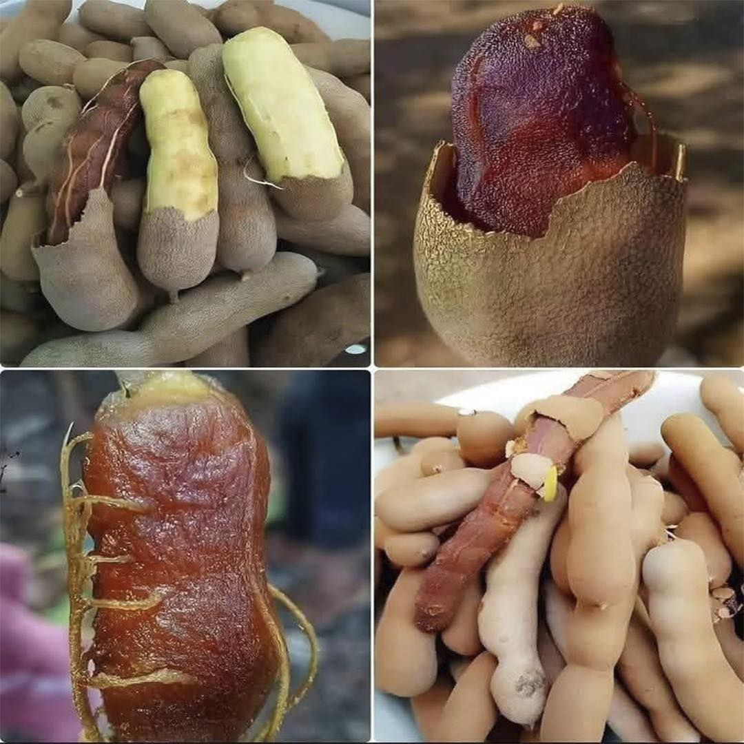 635010800 917055567483972 2266436767136681002 n